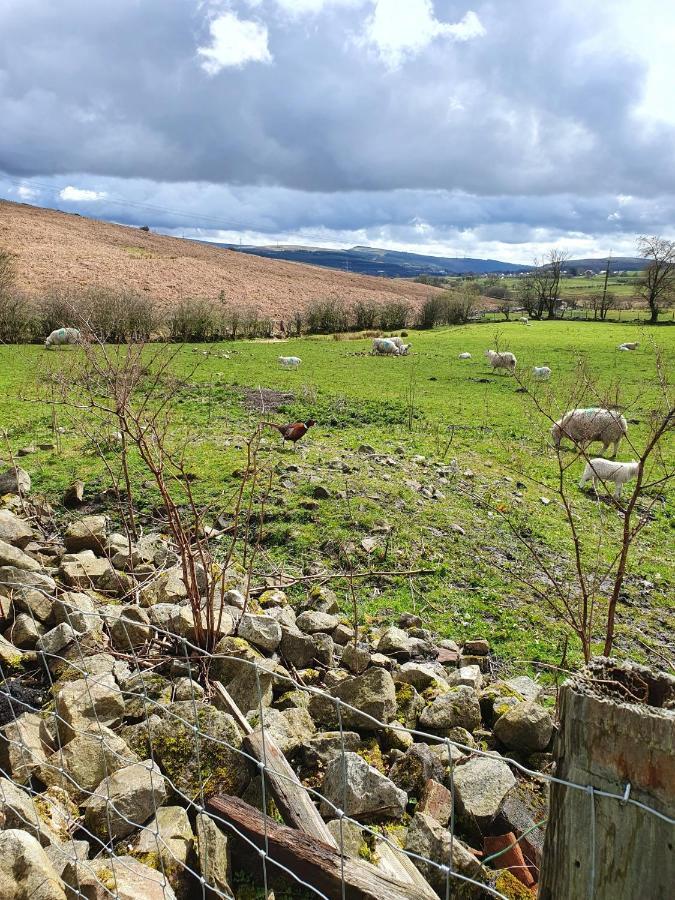 Wales' Highest Village - The Chartist Cottage - Trefil Tredegar المظهر الخارجي الصورة