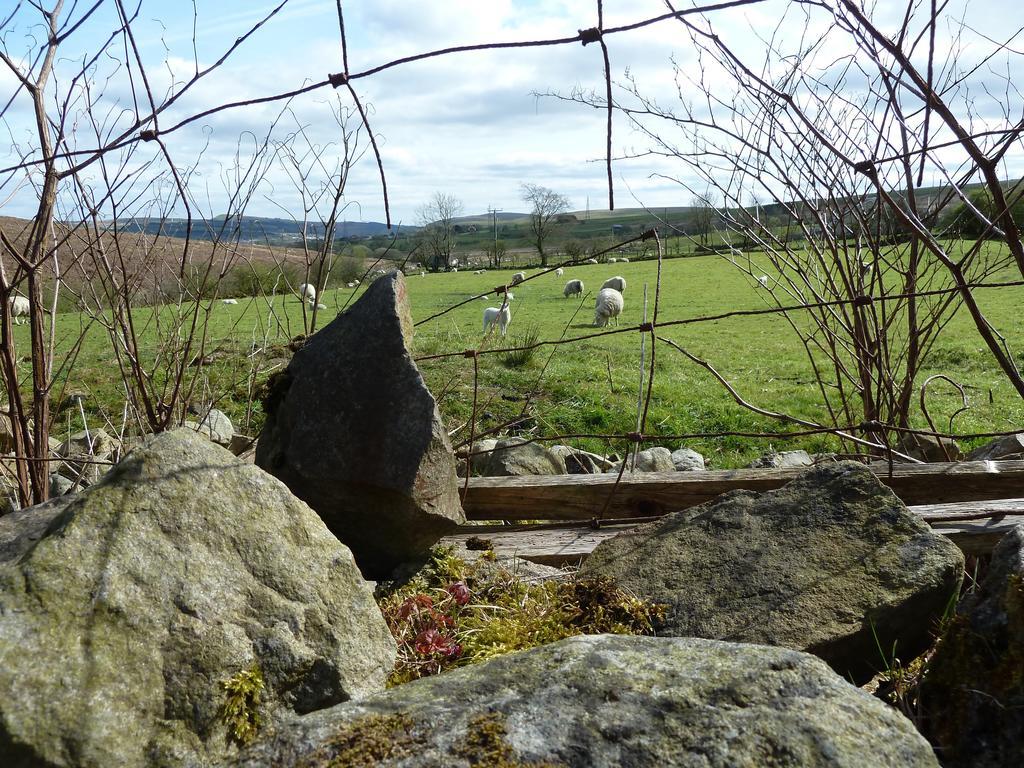 Wales' Highest Village - The Chartist Cottage - Trefil Tredegar المظهر الخارجي الصورة