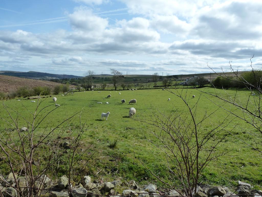 Wales' Highest Village - The Chartist Cottage - Trefil Tredegar المظهر الخارجي الصورة